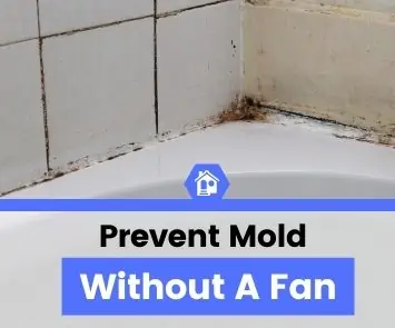 how to prevent mold in bathroom without fan (1)